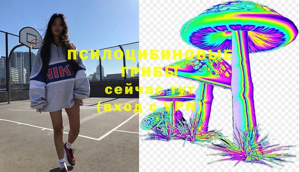 молекула духа Алексин