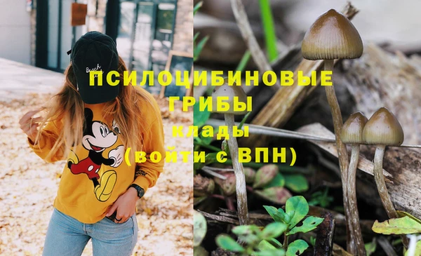 ПСИЛОЦИБИНОВЫЕ ГРИБЫ Алзамай
