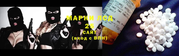 ПСИЛОЦИБИНОВЫЕ ГРИБЫ Алзамай
