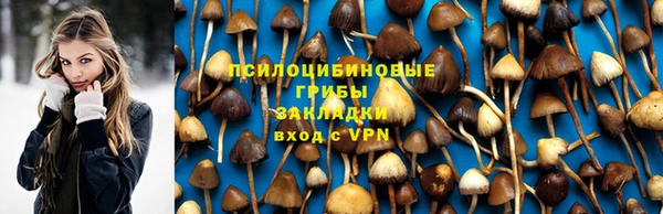 ПСИЛОЦИБИНОВЫЕ ГРИБЫ Алзамай