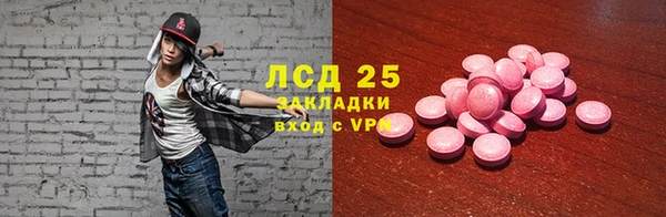 ПСИЛОЦИБИНОВЫЕ ГРИБЫ Алзамай