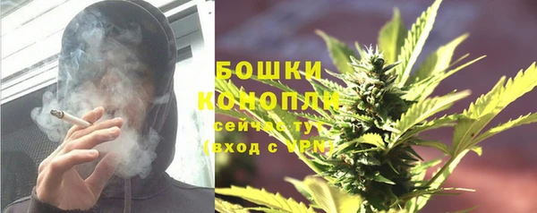 ПСИЛОЦИБИНОВЫЕ ГРИБЫ Алзамай