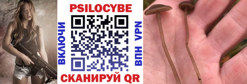 Галлюциногенные грибы прущие грибы Лесной